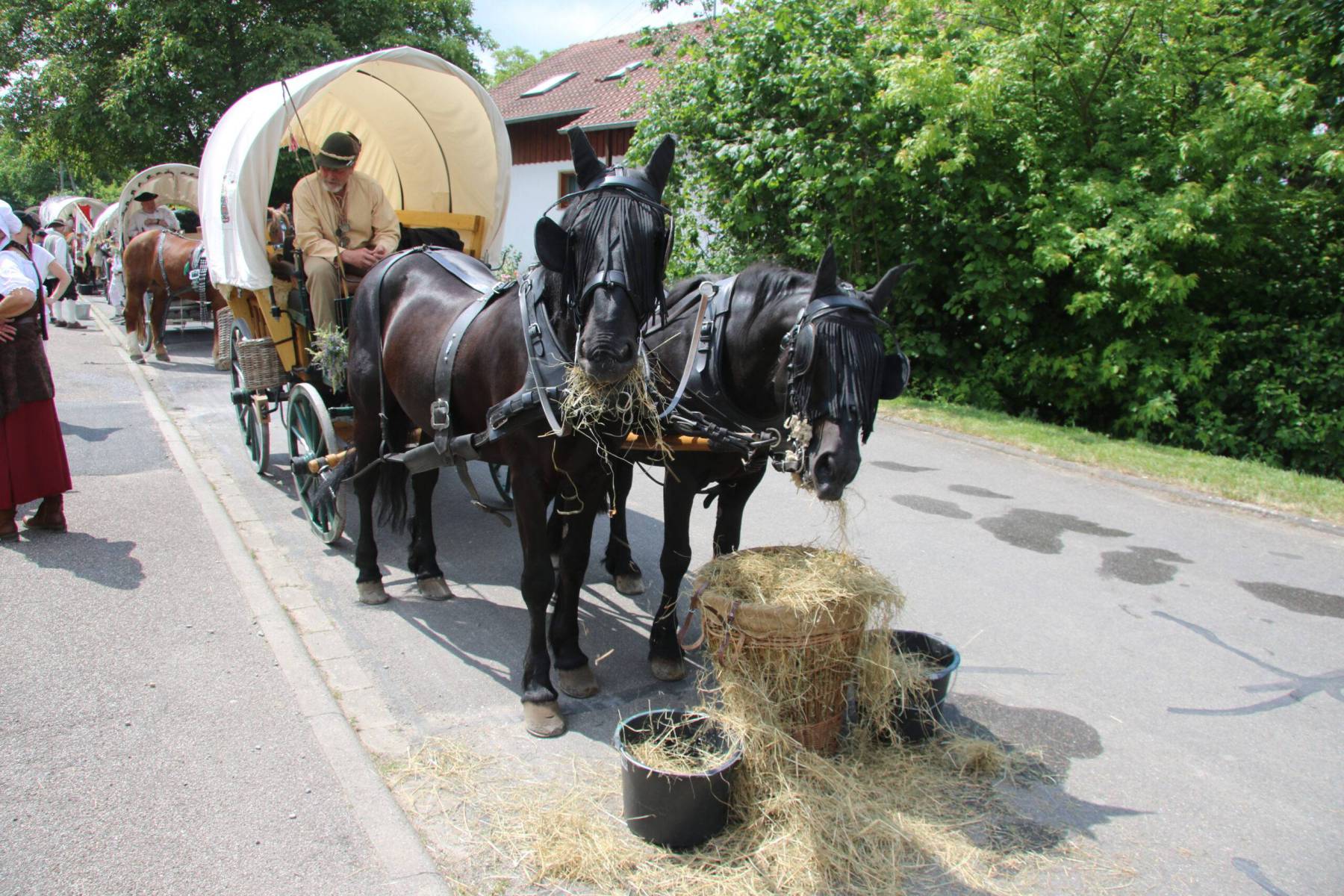 77-2023-Kaufmannszug-2162-Tauberbischhofsheim-Kuelsheim-a-1-scaled