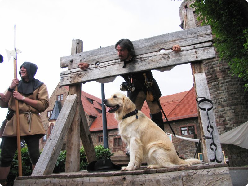 KMZ_2011_img_2094