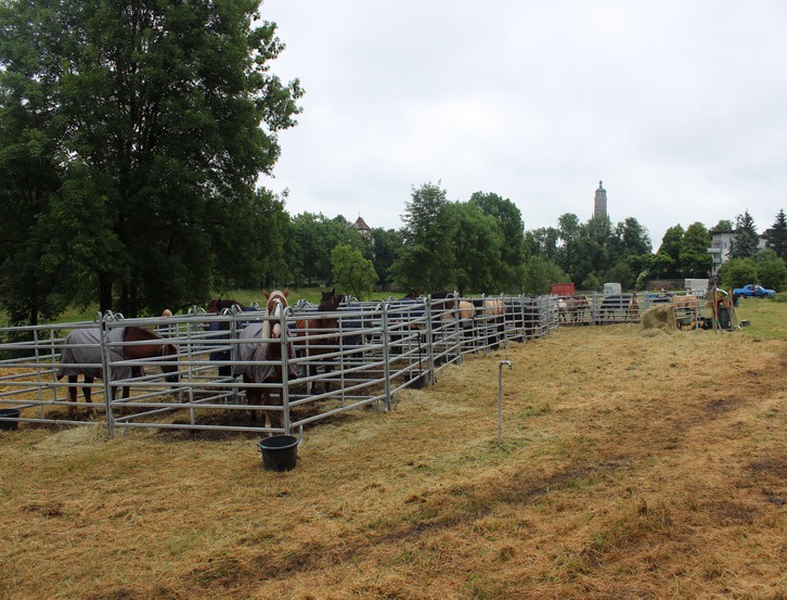 KMZ_2015_2015-06-09-11h02m31