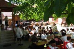 Zug_2011_img_0929