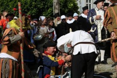 Zug_2015_2015-06-08-15h12m11