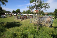 KMZ_2019_2019-06-09-11h58m48